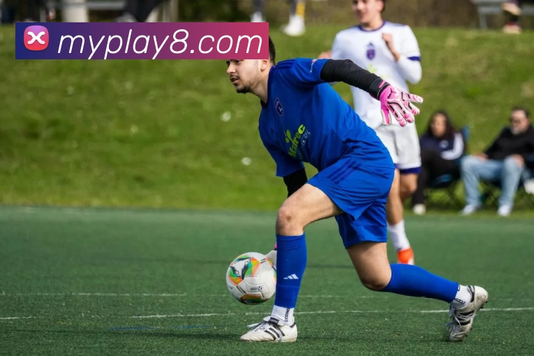 摩域体育官网发展历程